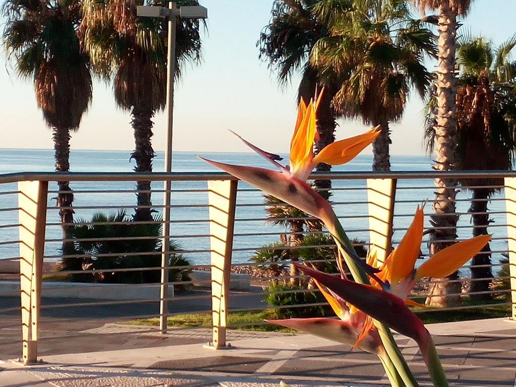 צ'יוויטווקיה Residence Stendhal Guest House מראה חיצוני תמונה