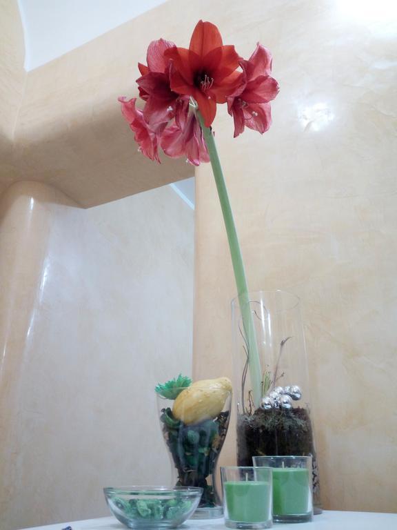 צ'יוויטווקיה Residence Stendhal Guest House מראה חיצוני תמונה